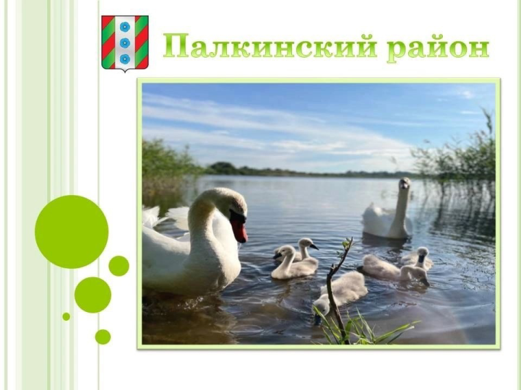 Выставка «Россия начинается здесь». Выставка «Россия начинается здесь».